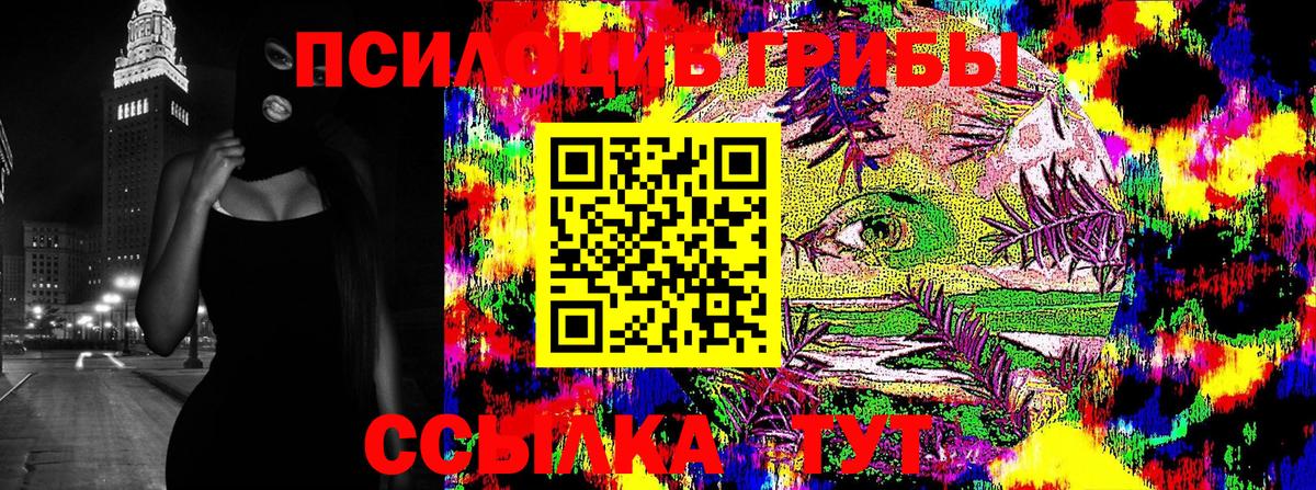 Котлас  Галлюциногенные грибы Psilocybe  магазин продажи наркотиков  Вход с VPN 